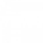 wise new logo