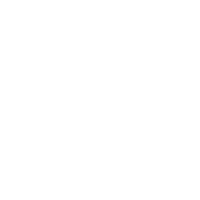 wise new logo